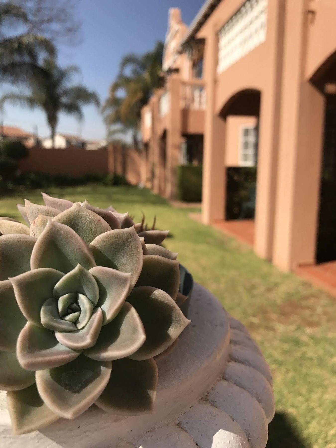 The Elegant Lodge Menlo Park Pretoria-Noord Extérieur photo